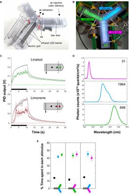 Aversive Training of Honey Bees in an Automated Y-Maze